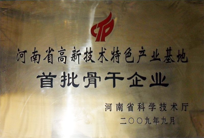 **骨干企業(yè)